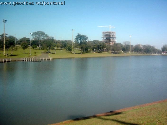 3469_geocities_ws_pantanal.jpg