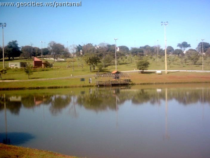 3472_geocities_ws_pantanal.jpg