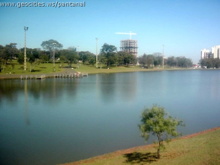 3473_geocities_ws_pantanal.jpg