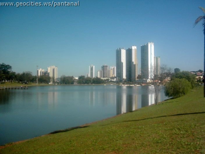 3474_geocities_ws_pantanal.jpg