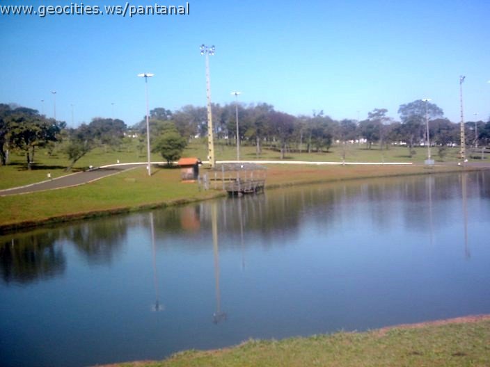 3475_geocities_ws_pantanal.jpg