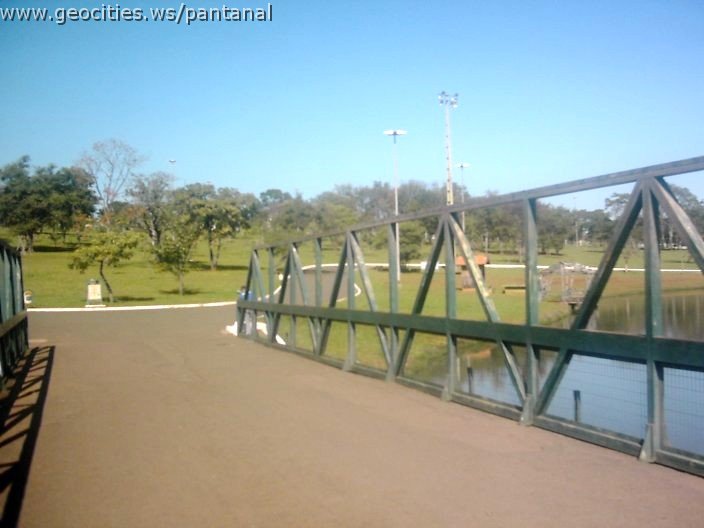 3477_geocities_ws_pantanal.jpg