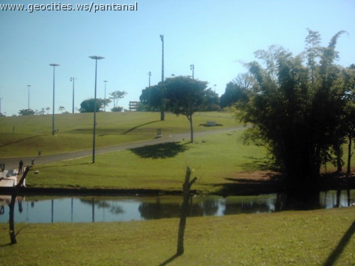 3479_geocities_ws_pantanal.jpg