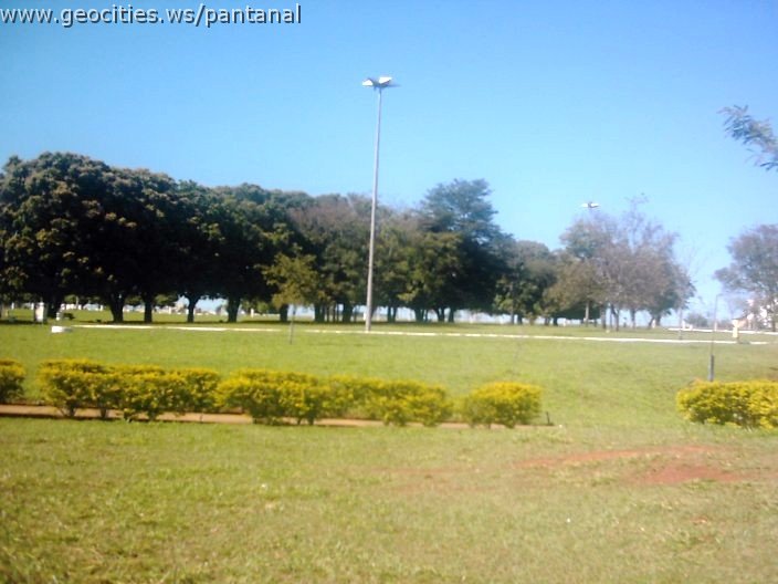 3481_geocities_ws_pantanal.jpg