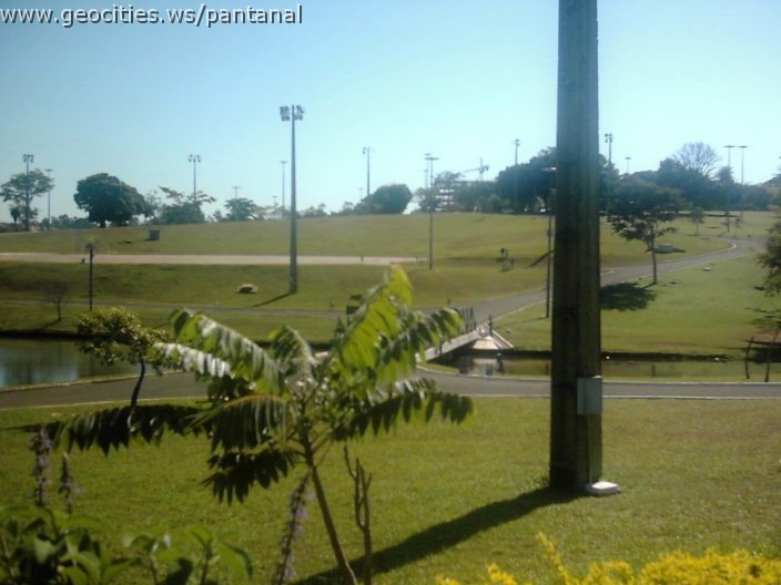 3484_geocities_ws_pantanal.jpg