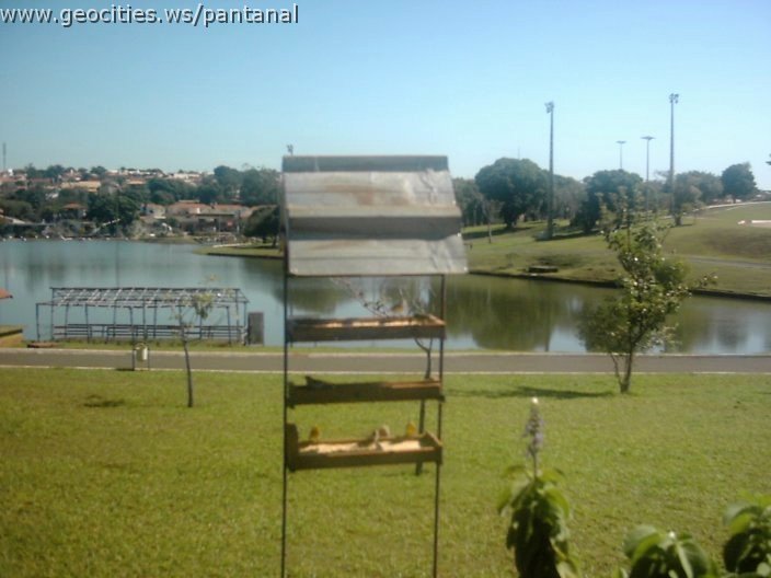 3485_geocities_ws_pantanal.jpg