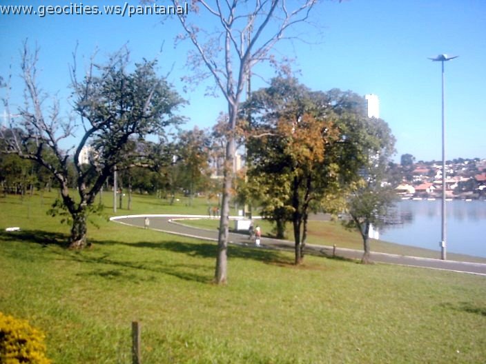3486_geocities_ws_pantanal.jpg