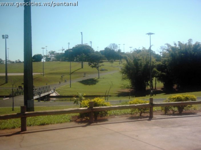 3487_geocities_ws_pantanal.jpg