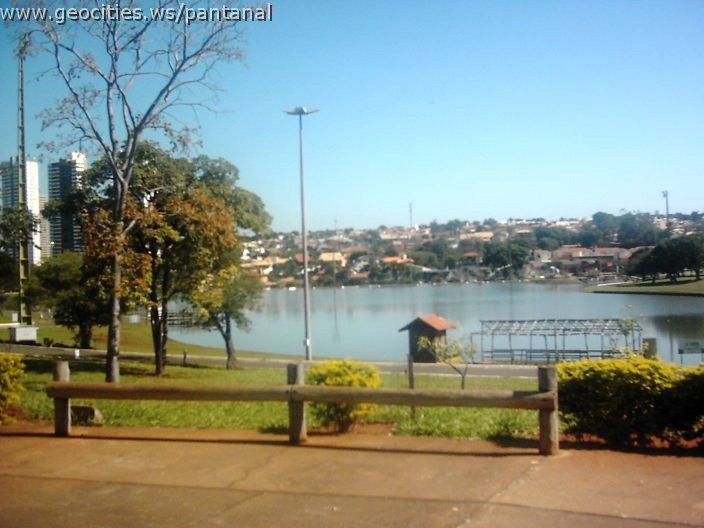 3488_geocities_ws_pantanal.jpg
