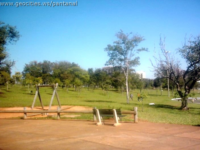 3489_geocities_ws_pantanal.jpg