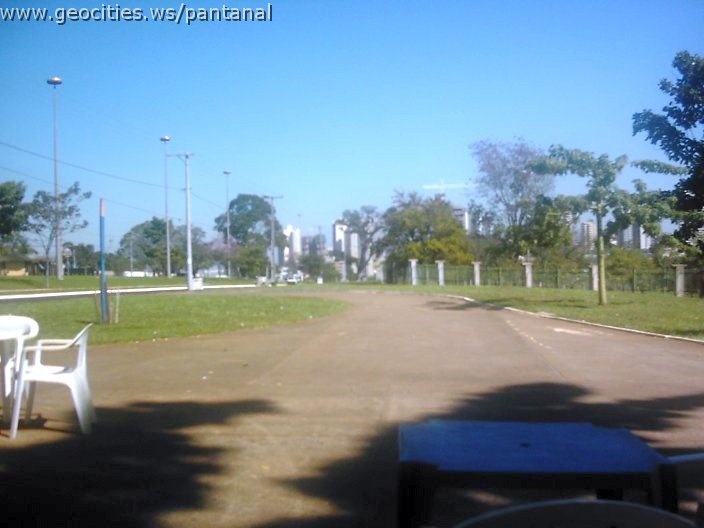 3491_geocities_ws_pantanal.jpg