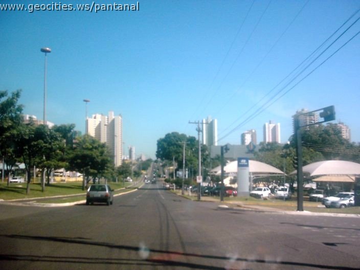 3495_geocities_ws_pantanal.jpg