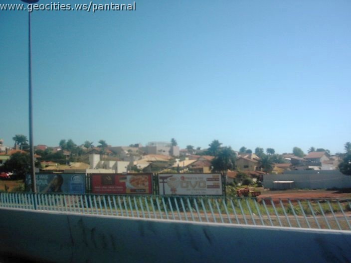 3500_geocities_ws_pantanal.jpg