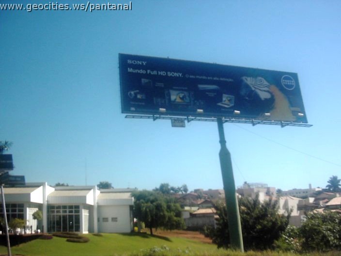 3501_geocities_ws_pantanal.jpg