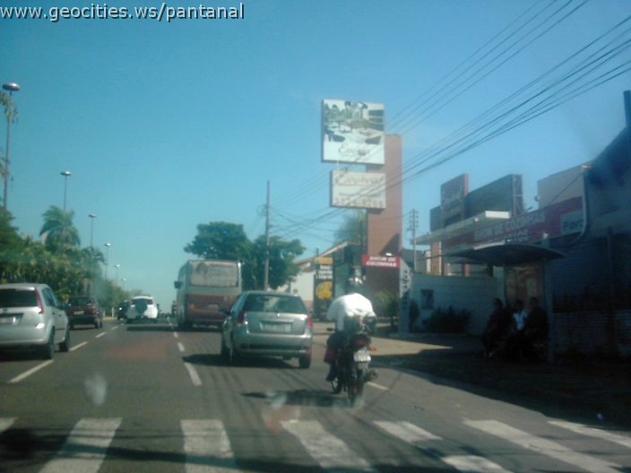 3505_geocities_ws_pantanal.jpg