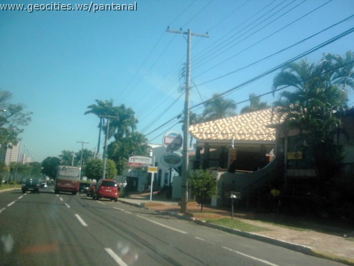 3507_geocities_ws_pantanal.jpg