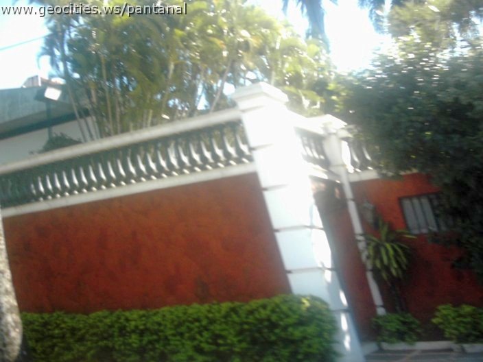3509_geocities_ws_pantanal.jpg