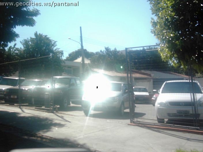 3512_geocities_ws_pantanal.jpg
