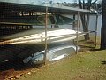 3416_geocities_ws_pantanal