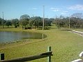 3429_geocities_ws_pantanal