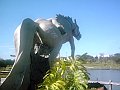 3457_geocities_ws_pantanal