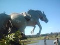 3458_geocities_ws_pantanal