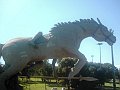 3459_geocities_ws_pantanal