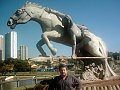 3462_geocities_ws_pantanal