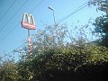 3498_geocities_ws_pantanal