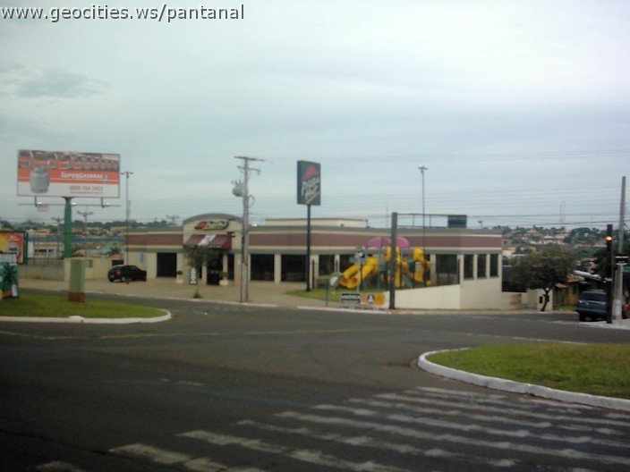 3518_geocities_ws_pantanal.jpg