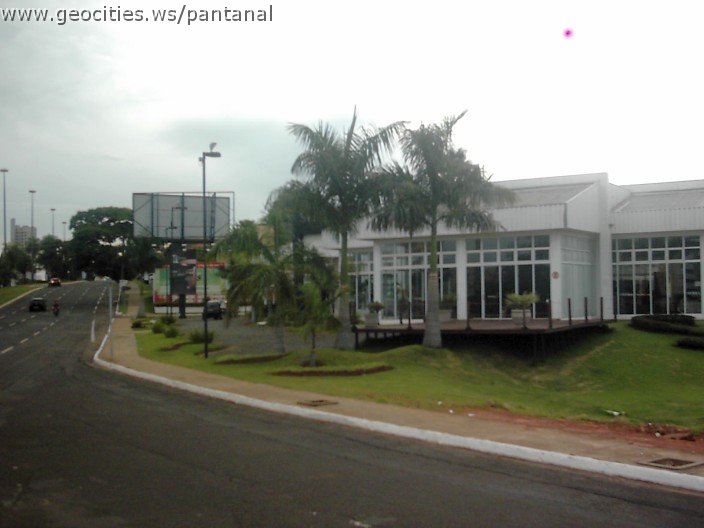 3533_geocities_ws_pantanal.jpg