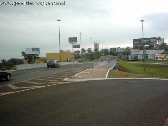 3536_geocities_ws_pantanal.jpg