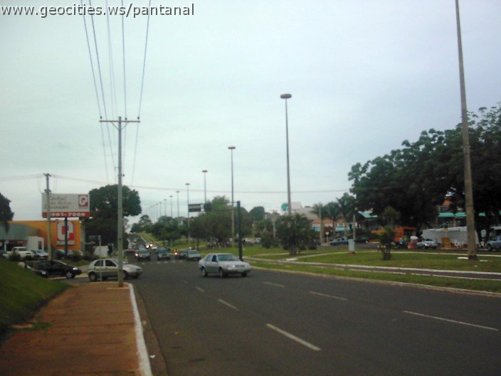 3544_geocities_ws_pantanal.jpg