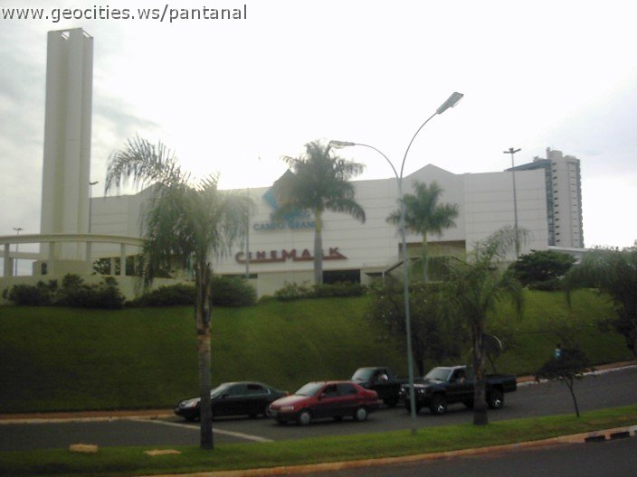 3546_geocities_ws_pantanal.jpg