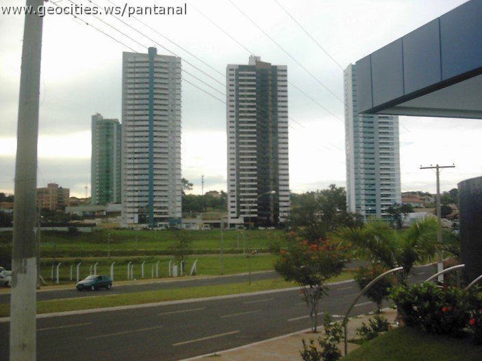 3548_geocities_ws_pantanal.jpg