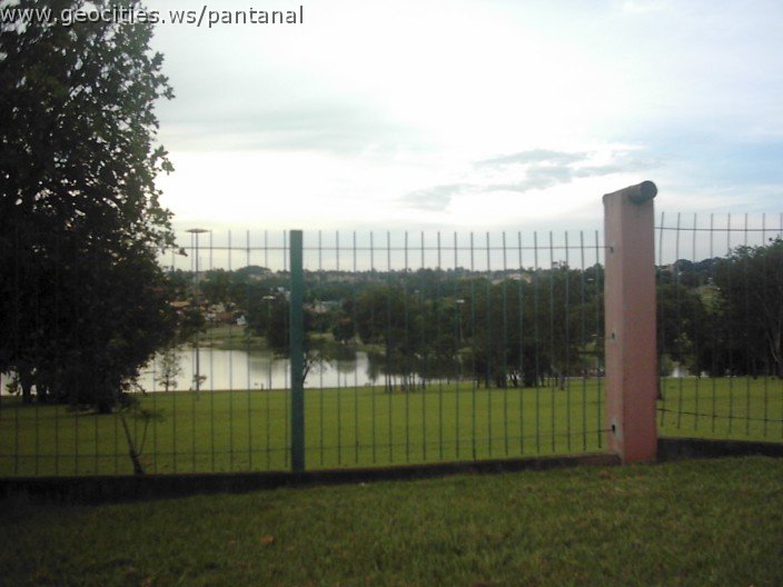 3552_geocities_ws_pantanal.jpg