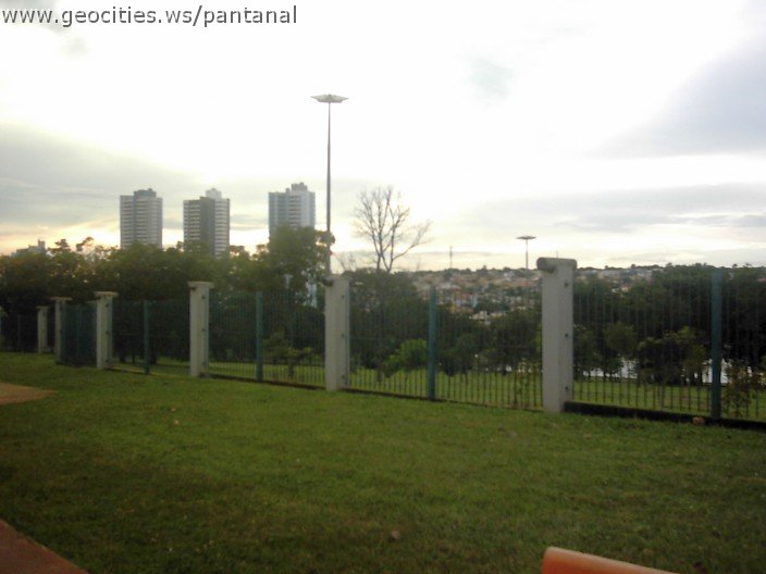3554_geocities_ws_pantanal.jpg