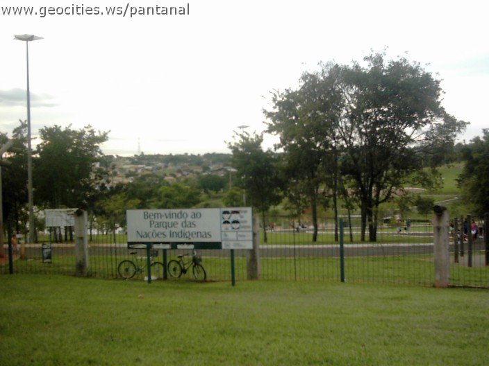 3558_geocities_ws_pantanal.jpg