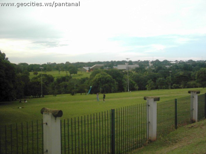 3559_geocities_ws_pantanal.jpg