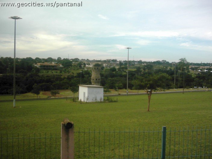 3563_geocities_ws_pantanal.jpg