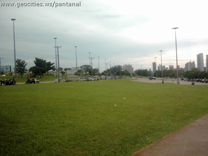 3565_geocities_ws_pantanal.jpg