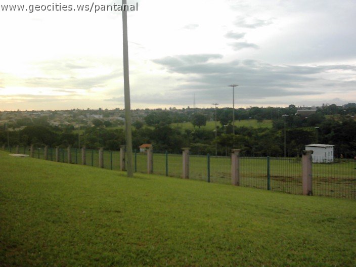 3566_geocities_ws_pantanal.jpg