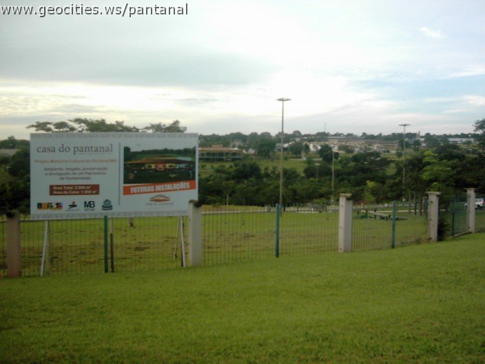 3567_geocities_ws_pantanal.jpg