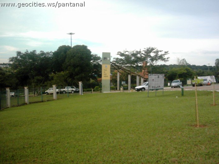 3568_geocities_ws_pantanal.jpg