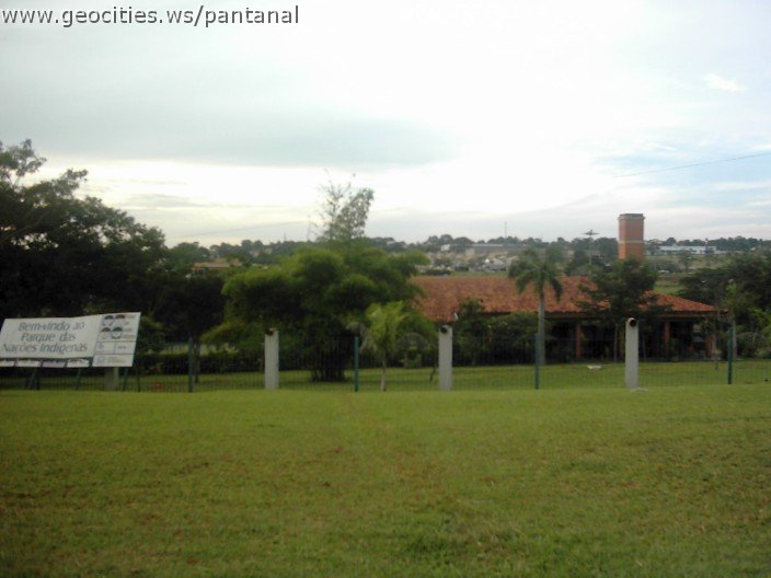 3570_geocities_ws_pantanal.jpg