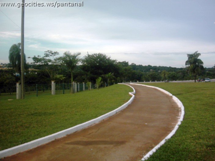 3571_geocities_ws_pantanal.jpg