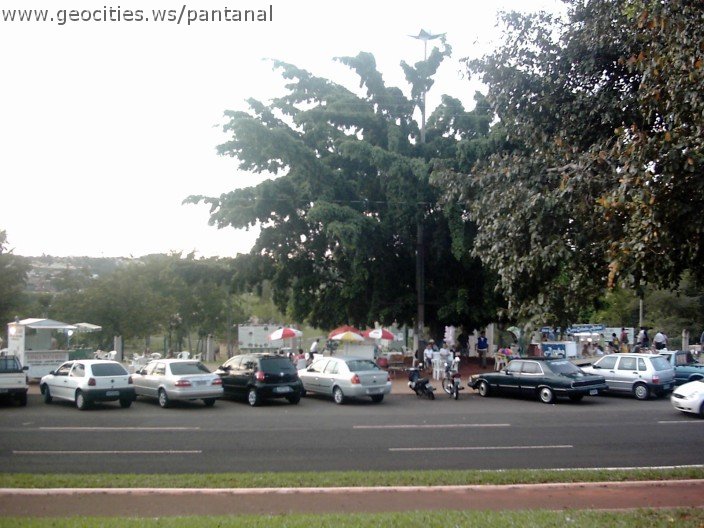 3577_geocities_ws_pantanal.jpg