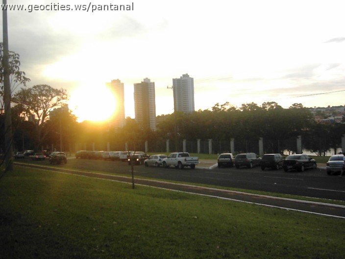 3582_geocities_ws_pantanal.jpg