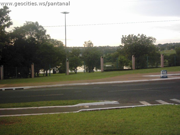 3586_geocities_ws_pantanal.jpg
