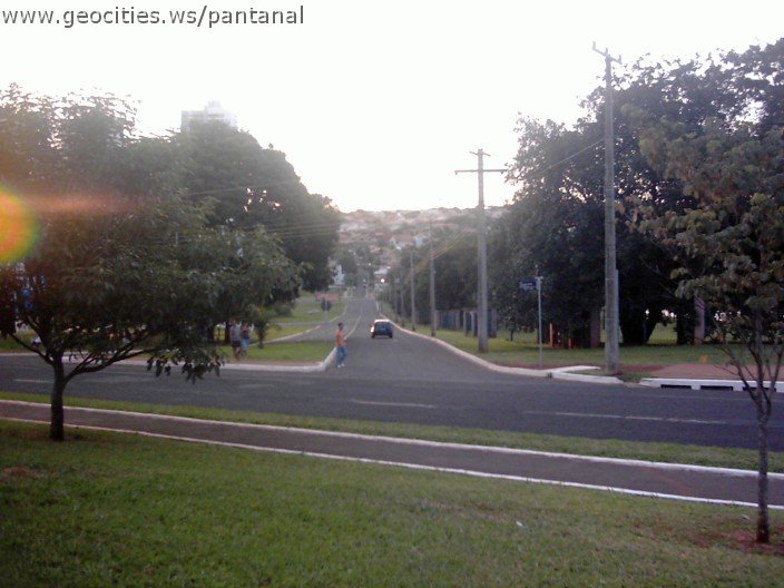 3587_geocities_ws_pantanal.jpg